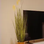Musa לינה וארוחת בוקר רומא