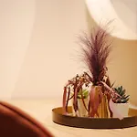 Musa רומא