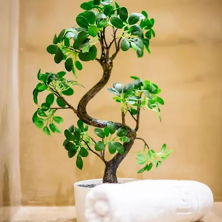 Bed & Breakfast Musa Rome